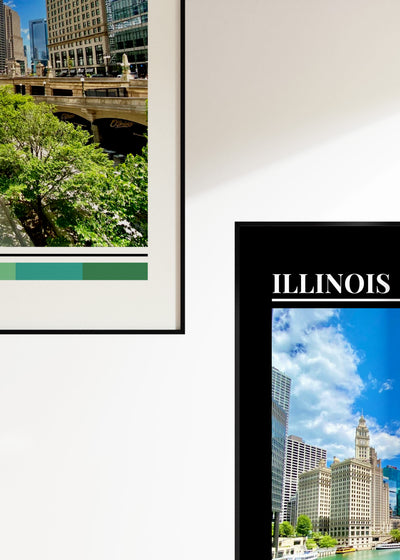 Project No.1: Illinois
